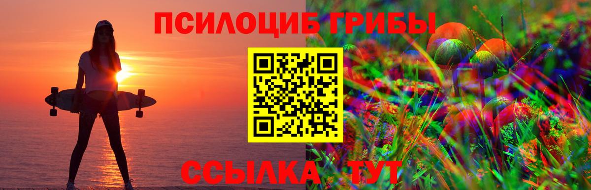 Псилоцибиновые грибы GOLDEN TEACHER Карабулак